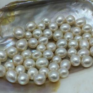 8-10.5 MM Size (Approx.)  AA Luster Loose Pearl WhiteCream Color ButtonDrop Shape Pearl beads Natural Real South Sea Pearl