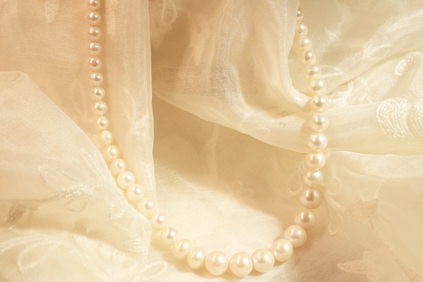 Fresh Water Pearls Graduation Necklace With Metal Clasp